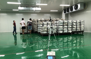 食用菌金针菇接种培养净化车间