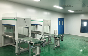蘑菇平菇食用菌接种培养无菌车间